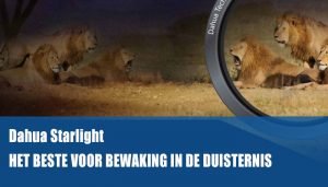 Starlight maakt het verschil